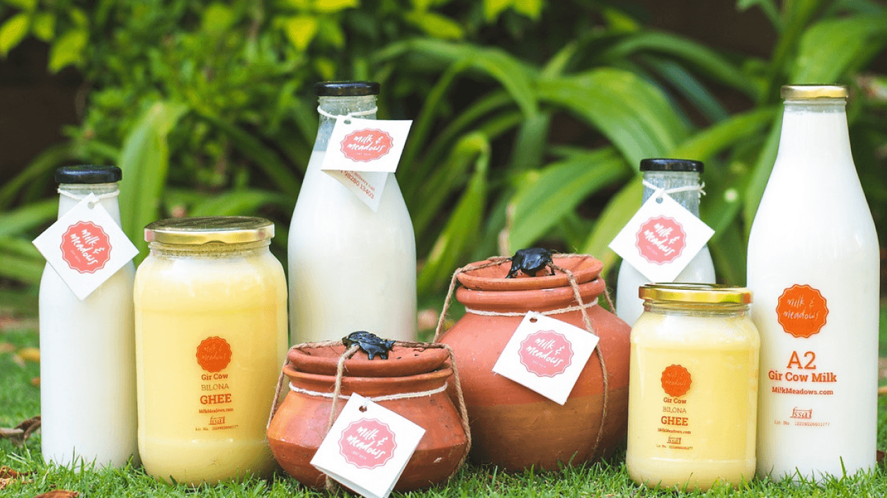 Milk & Meadows dairy photo